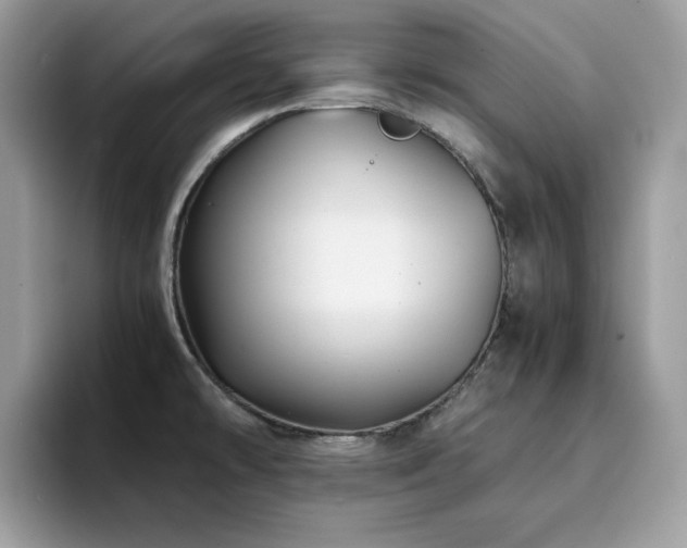 X0000094951478200711291403