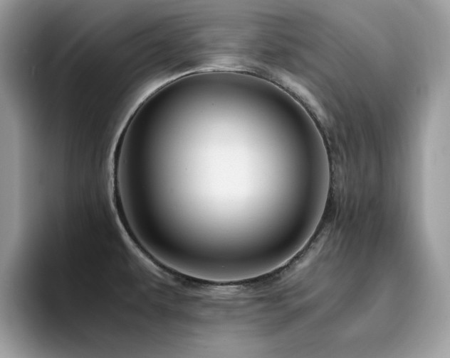 X0000094951479200711291403