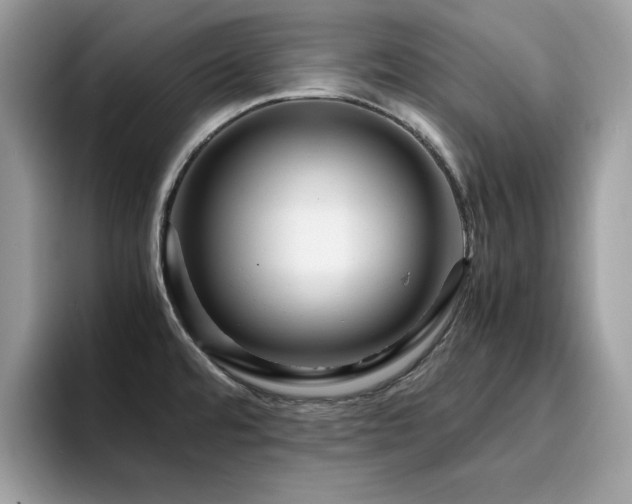 X0000094951480200711291403