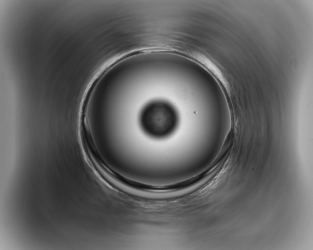 X0000094951485200711291403
