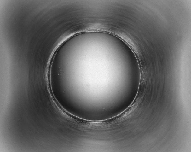 X0000094951486200711291403