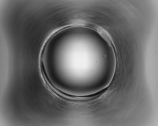 X0000094951488200711291403