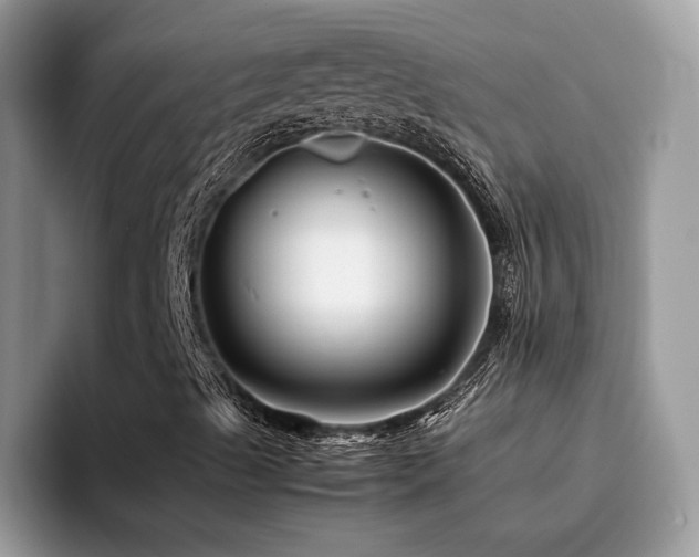 X0000094951489200711291403