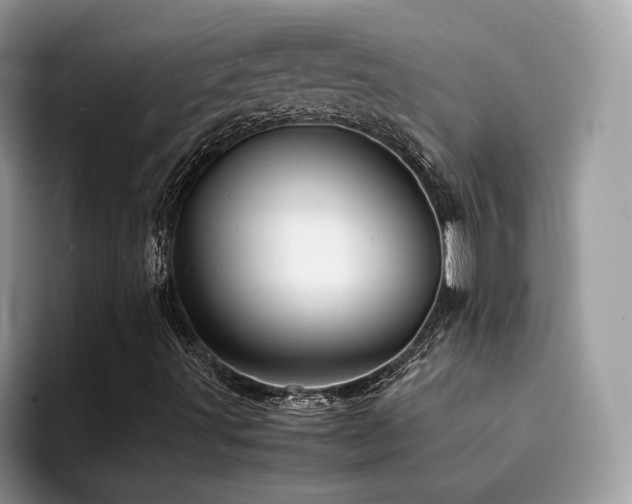 X0000094951491200711291403