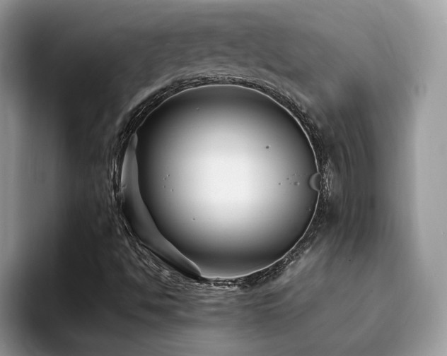 X0000094951494200711291403