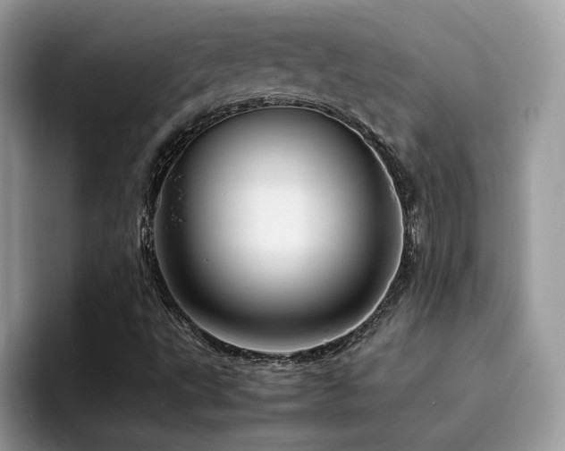 X0000094951495200711291403