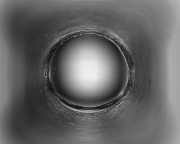 X0000094951496200711291403