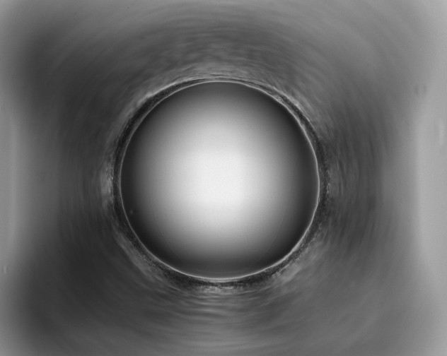 X0000094951499200711291403