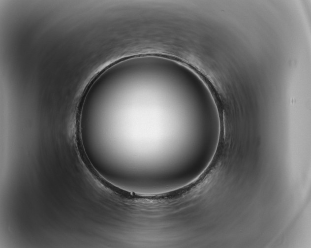 X0000094951500200711291403