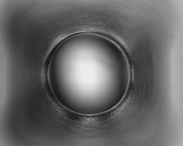X0000094951501200711291403