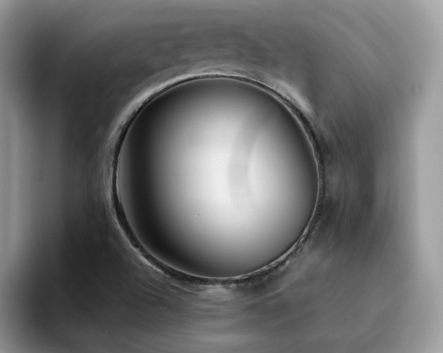 X0000094951504200711291403