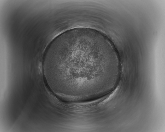X0000094951505200711291403