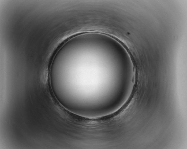 X0000094951507200711291403