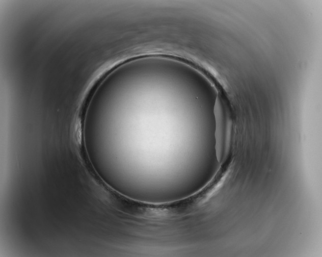 X0000094951509200711291403