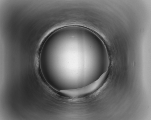 X0000094951510200711291403
