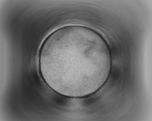 X0000094951514200711291403