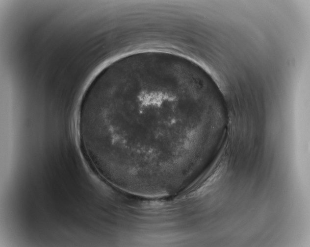 X0000094951515200711291403