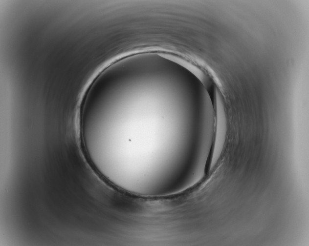 X0000094951516200711291403