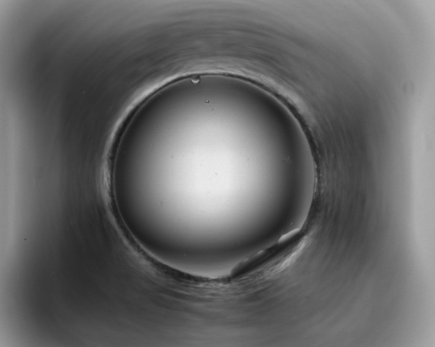 X0000094951517200711291403