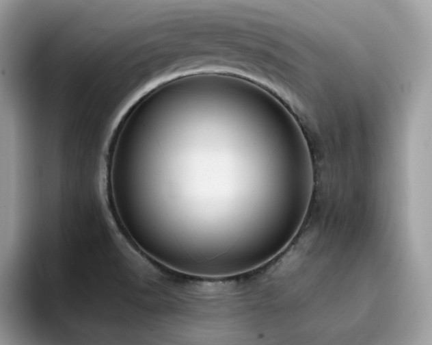 X0000094951518200711291403