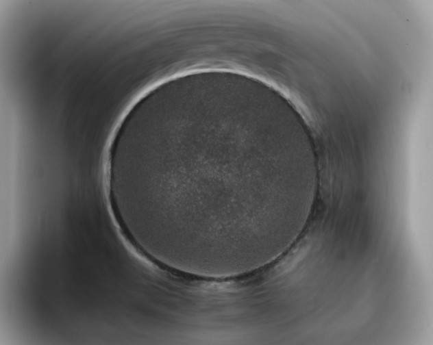 X0000094951519200711291403