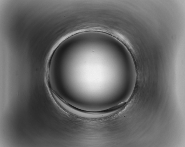 X0000094951520200711291403