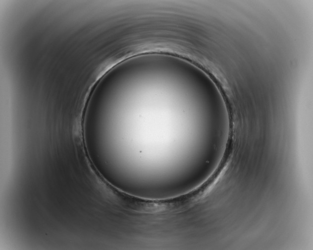 X0000094951521200711291403