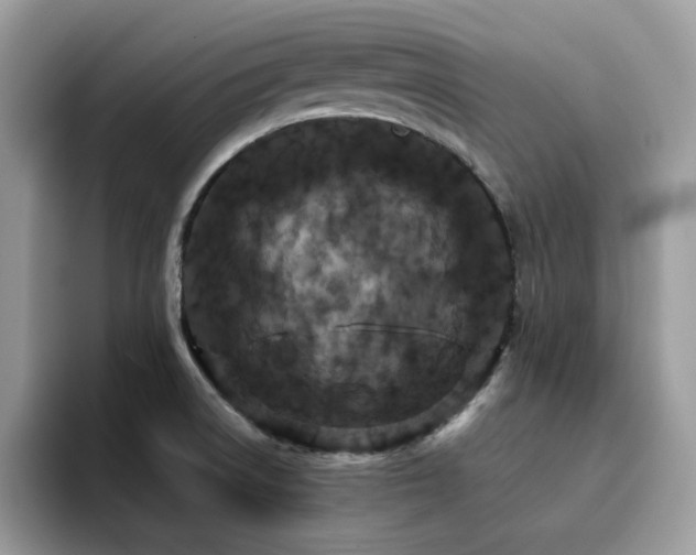 X0000094951522200711291403
