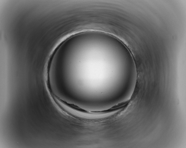 X0000094951523200711291403