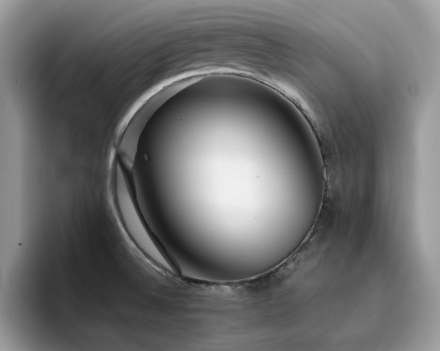 X0000094951524200711291403