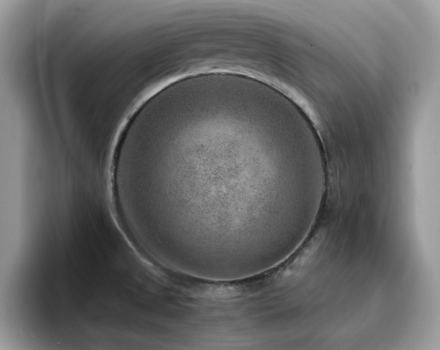 X0000094951525200711291403