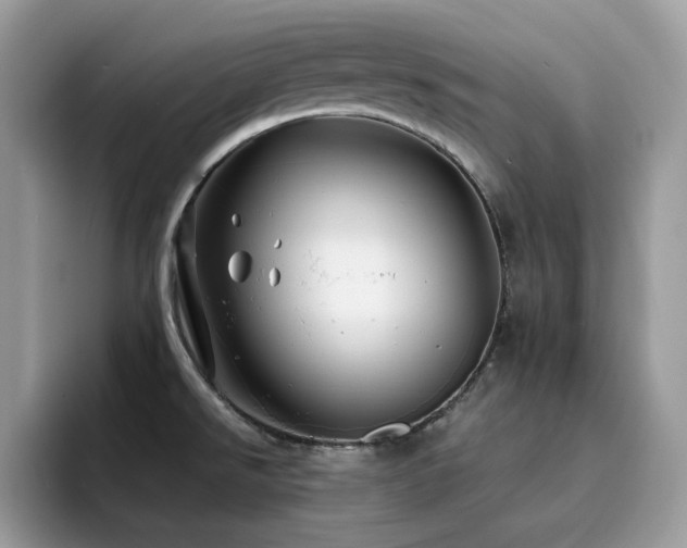 X0000094951526200711291403