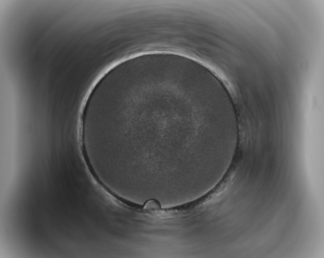 X0000094951527200711291403