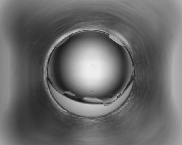 X0000094951528200711291403