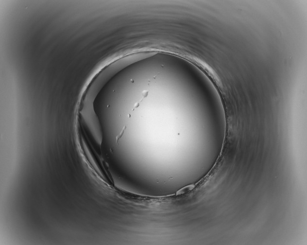 X0000094951530200711291403
