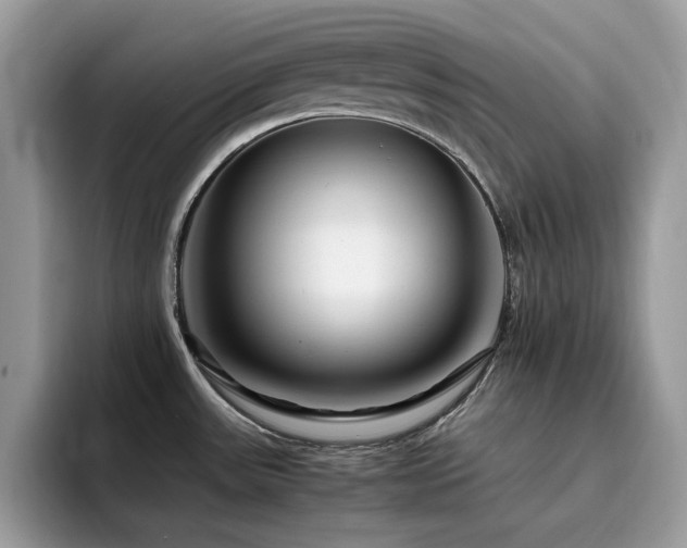 X0000094951531200711291403
