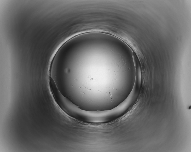 X0000094951532200711291403