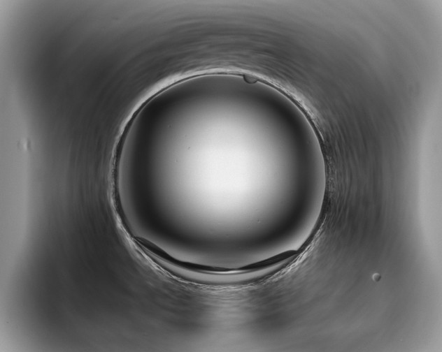 X0000094951534200711291403