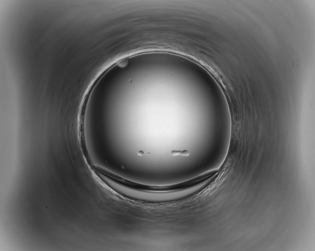 X0000094951535200711291403