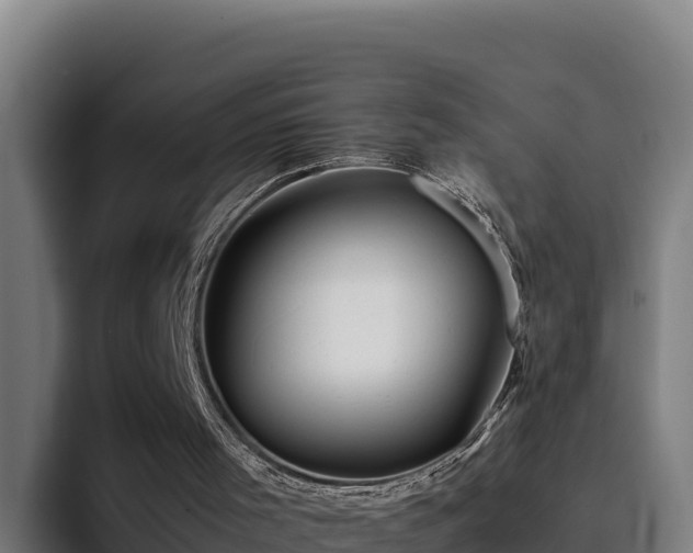 X0000094950001200712061301