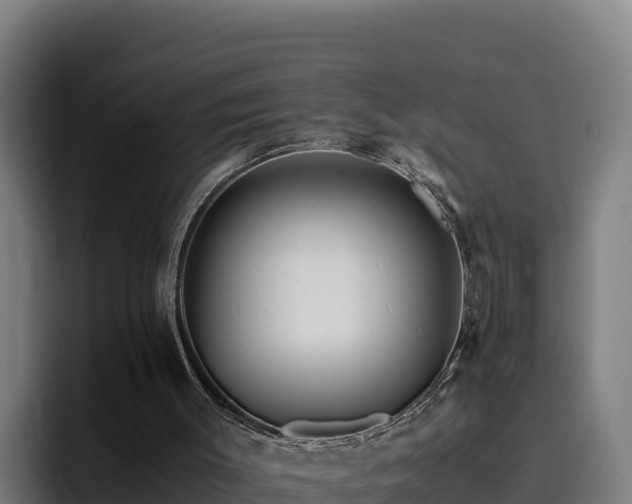 X0000094950003200712061301