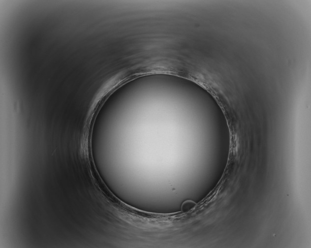 X0000094950004200712061301