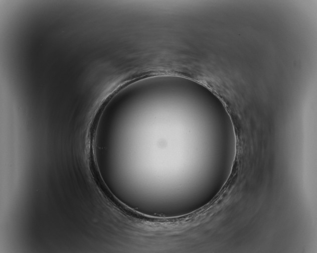 X0000094950005200712061301