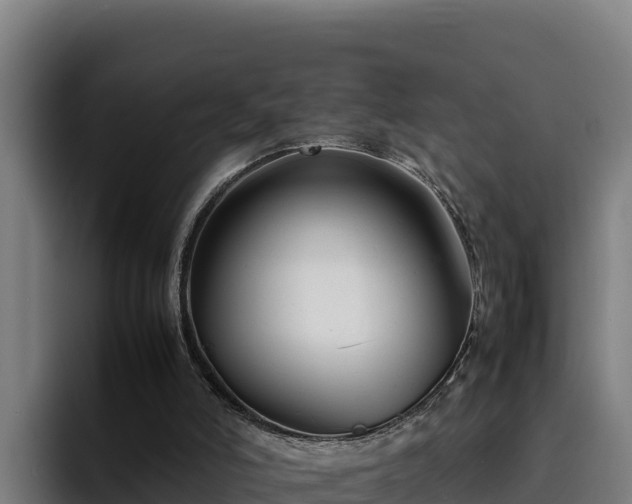 X0000094950006200712061301