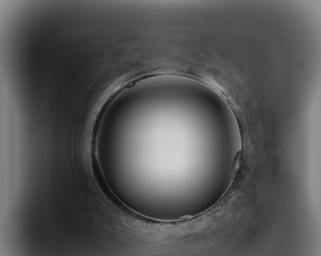 X0000094950007200712061301