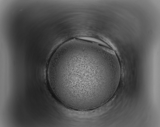 X0000094950010200712061301