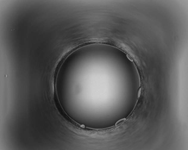 X0000094950011200712061301