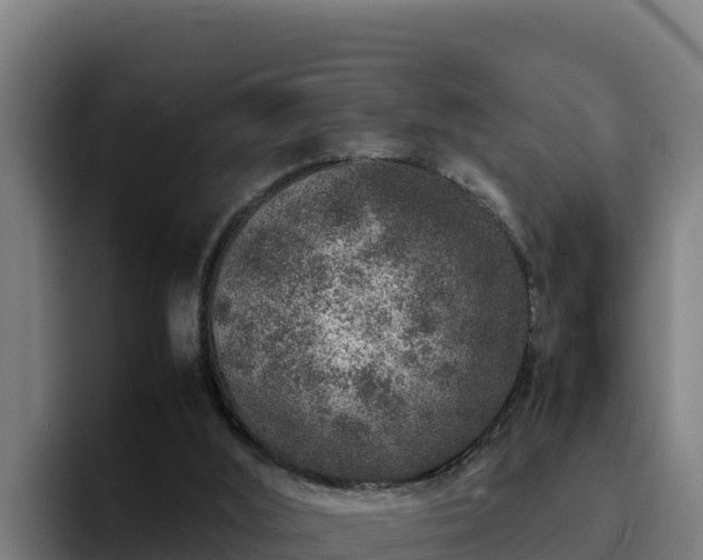 X0000094950012200712061301