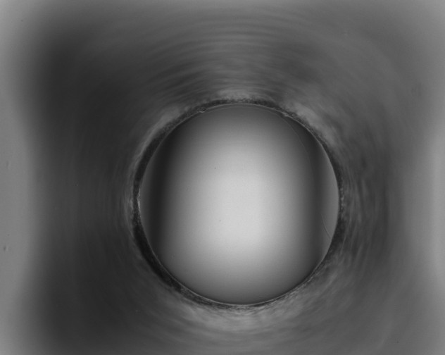 X0000094950015200712061300