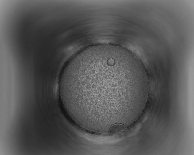 X0000094950016200712061300